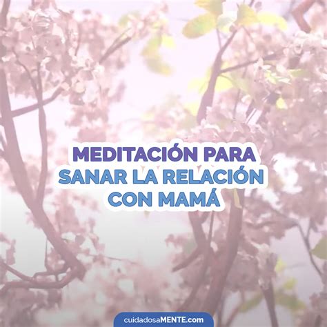 Meditaci N Para Sanar La Relaci N Con Mam Cuidadosamente