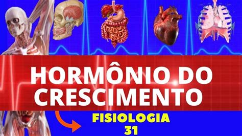 HORMÔNIO DO CRESCIMENTO GH FISIOLOGIA ENDÓCRINA FISIOLOGIA HUMANA