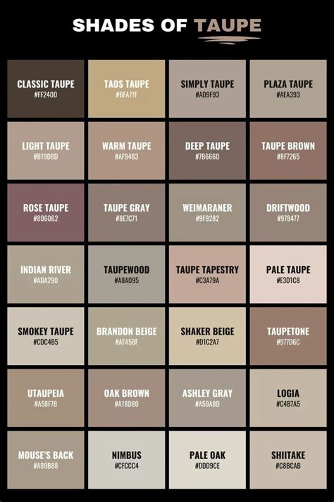 What Color Is Taupe 25 Taupe Colors With Hex RGB CMYK In 2024