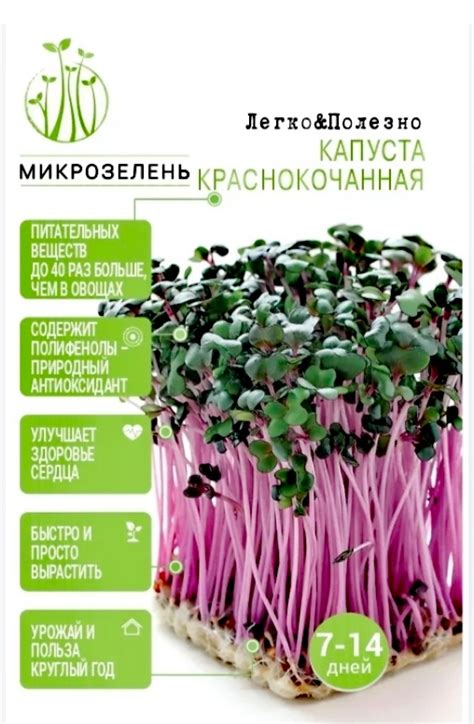 Микрозелень "Семена-групп" | отзывы