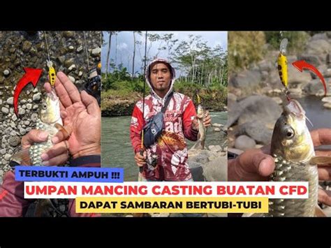 TERBUKTI AMPUH UMPAN MANCING CASTING BUATAN CFD SELALU DAPAT