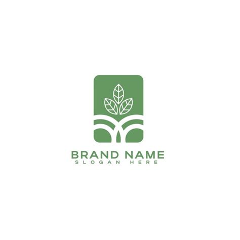 Plantilla Del Logotipo De La Planta Vector Premium