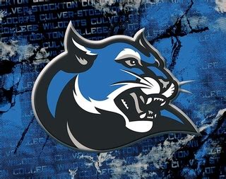 Culver-Stockton Wildcats - The D Zone Football