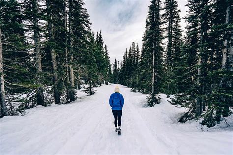 6 Amazing Things to Do in Olympic National Park in Winter - Uprooted ...