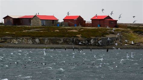 Coronavirus: Falkland Islands brace for first COVID-19 case | UK News ...