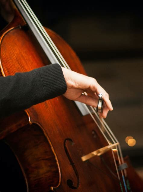 Cello Unterricht Private Cello Lehrer Innen Ab 22 H