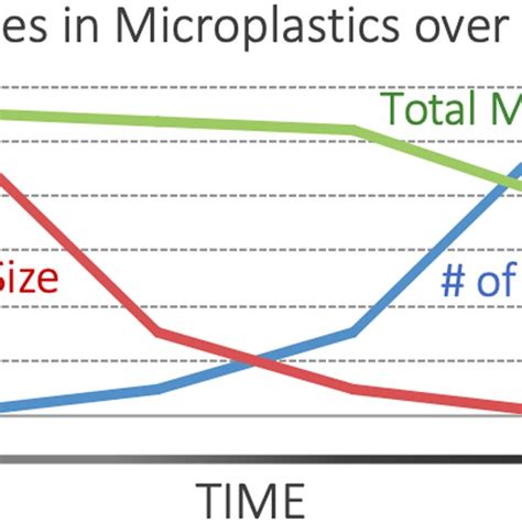 Microplastic Size Distributions Depend On Sampling Location Download Scientific Diagram