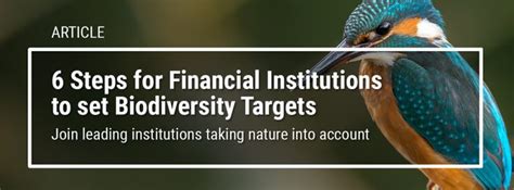 Six Steps For Financial Institutions To Set Biodiversity Targets United Nations Environment