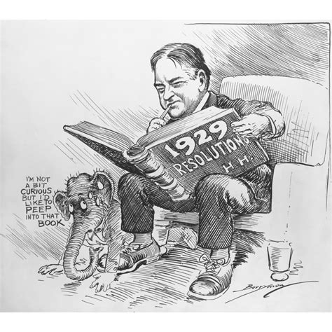 President Elect Herbert Hoover Reading A Book Entitled 1929