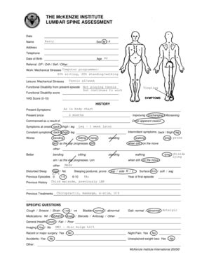 Fillable Online LUMBAR SPINE ASSESSMENT Fax Email Print PdfFiller