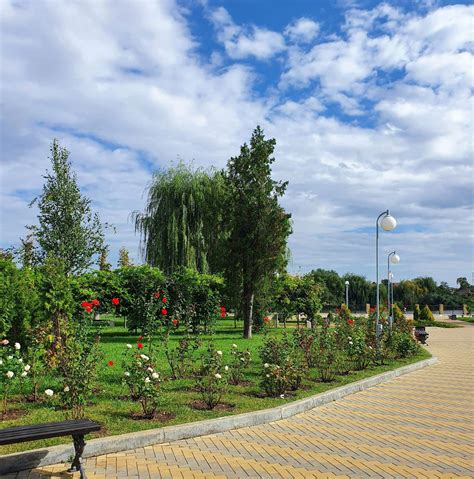 Парки кореновска на - 93 фото