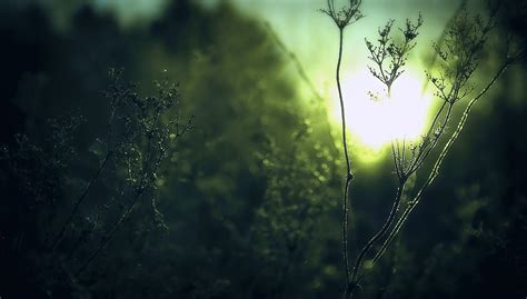 1900X1080 Wallpapers - Top Free 1900X1080 Backgrounds - WallpaperAccess