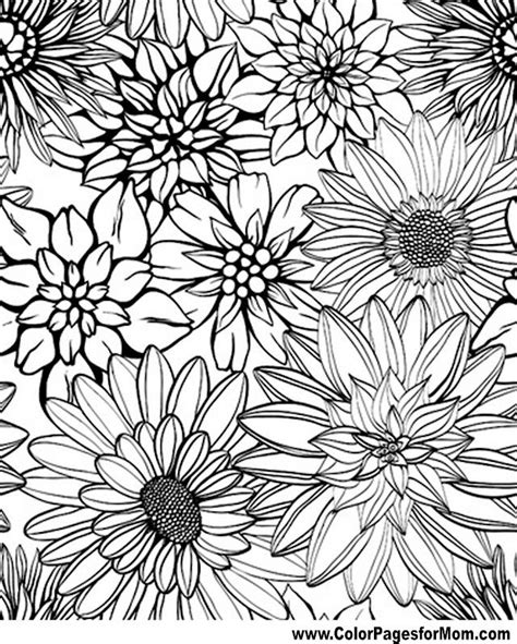 Flower Coloring Pages Advanced Coloring Nation