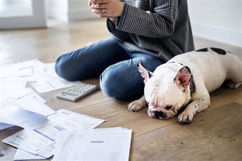 Can Your Pet Fetch Deductions On Tax Day 2023 Guide To Pet Tax Deductions