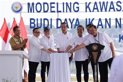 Presiden Resmikan Model Tambak Budi Daya Ikan Nila Di Karawang