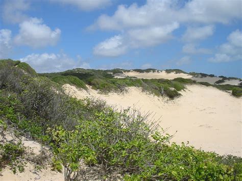 VENTO NORDESTE PARQUE DAS DUNAS II AS TRILHAS DA MATA