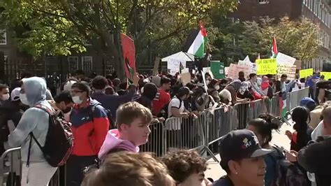 Israel Hamas War: Dozens arrested protesting near Sen. Schumer's home ...