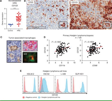 Figure 1 From Overcoming The Immunosuppressive Tumor Microenvironment