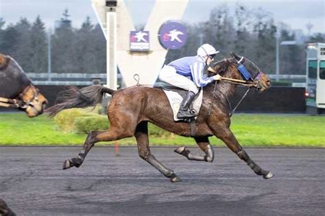 Prix De Thoissey Partants Et Pronostics Paris Vincennes