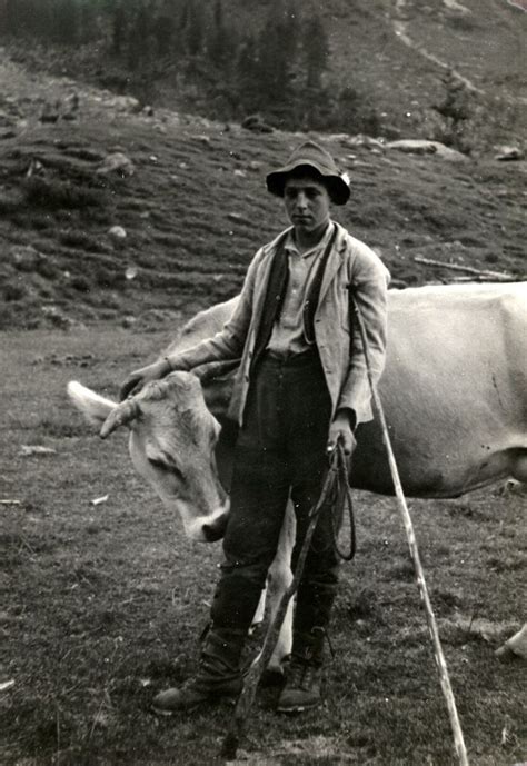 File Gabinio Trentino Alto Adige Giovane Pastore Con Una Mucca In Un