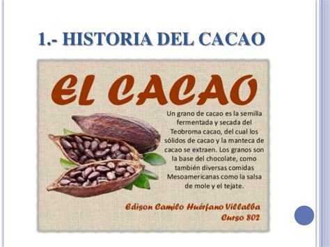 El Cacao En El Ecuador