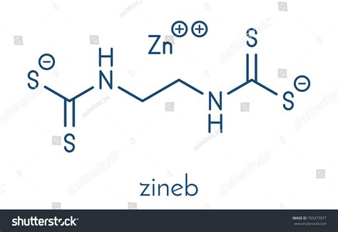 Zineb Zinc Organosulfur Fungicide Molecule Skeletal Stock Vector