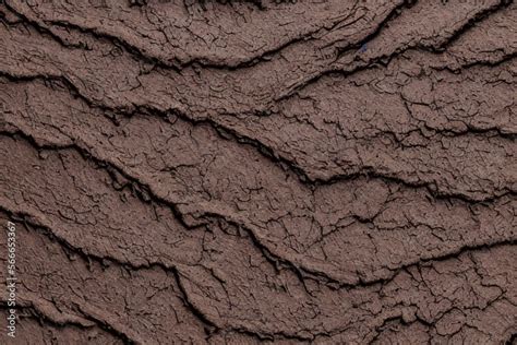 High-Resolution Image of Mud Cracks Texture Background Showcasing the ...