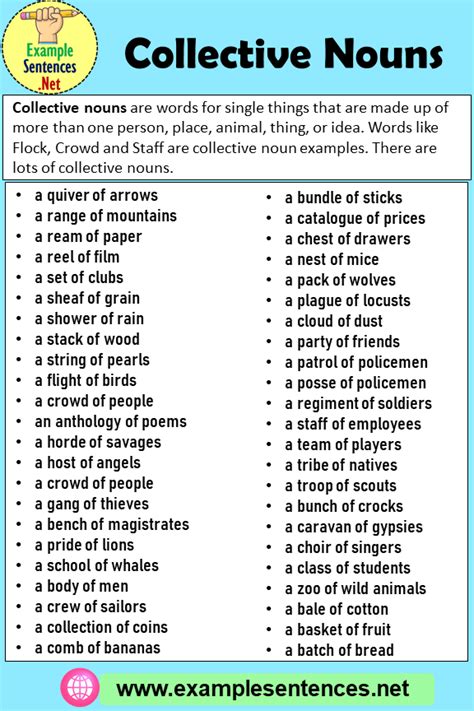 Collective Nouns Definition List Examples Of Collective Nouns Sexiz Pix