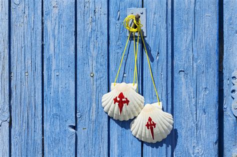 The Symbolism Of The Scallop Shell On The Camino Hillwalk Tours Self