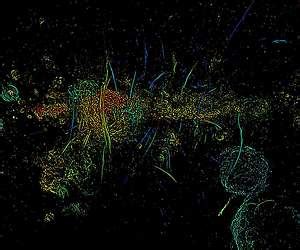 New MeerKAT Radio Image Reveals Complex Heart Of The Milky Way