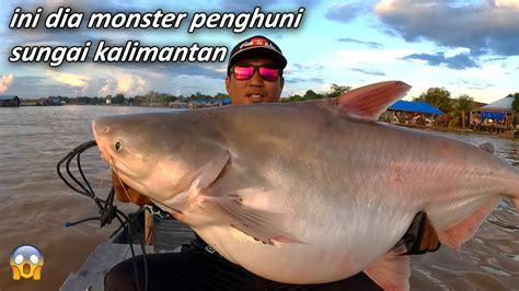 Strike Ikan Patin Monster Ini Bikin Perahu Hanyut Mancing Ikan Patin