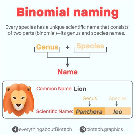 Binomial Nomenclature Biotechnology Taxonomy Biology