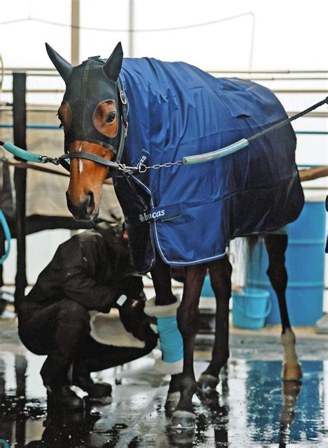 【東海s】ヴィクティファルス、ダート転向から2連勝はならず 池添「馬場もパサパサの方が良さそう」：中日スポーツ・東京中日スポーツ