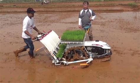 Yanmar Rice Transplanter - ACI Limited