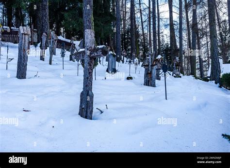 Historischer Ungarischer Friedhof Fotos Und Bildmaterial In Hoher