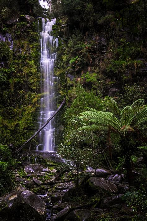 waterfall-erskine-falls-lorne – LEANNE COLE