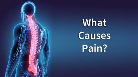 Back Pain: The Universal Language - What Causes My Spinal Pain?