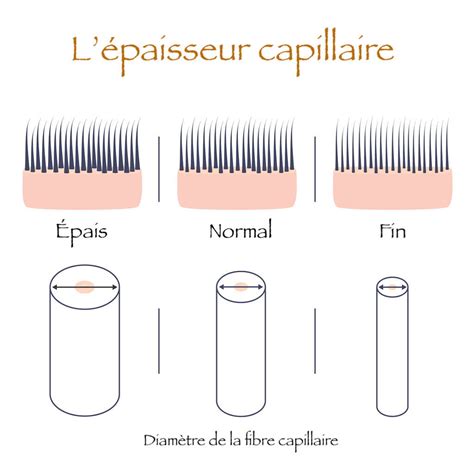 Densit De Cheveux Vs Paisseur De Cheveux Belas Crespas