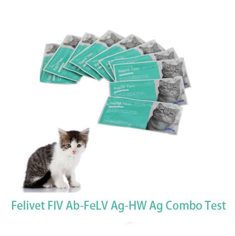 Felivet Fiv Ab Felv Ag Hw Ag Combo Test Immunodeficiency Virus Antibody