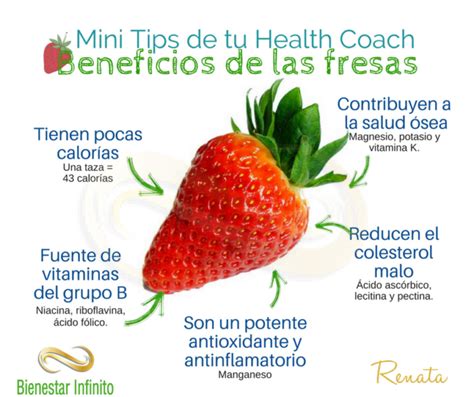 Beneficios De Las Fresas Bienestar Infinito