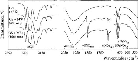 PDF The Structure Of The FeNO Group In Two Metastable States MS1 And