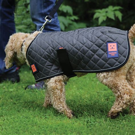 Thermal Quilted Dog Coat Harness Compatible Ginger Ted Ginger Ted Ltd