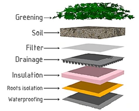 Schematic Structure Of The Green Roof 15 Download Scientific Diagram