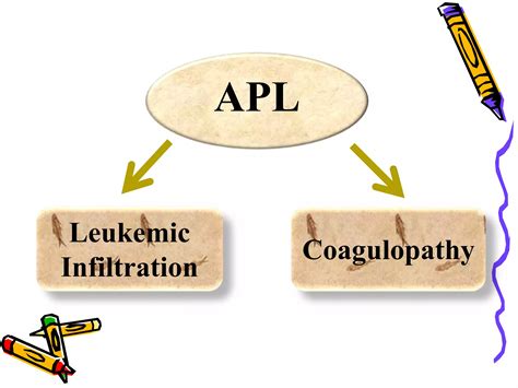 Acute Promyelocytic Leukaemia Ppt