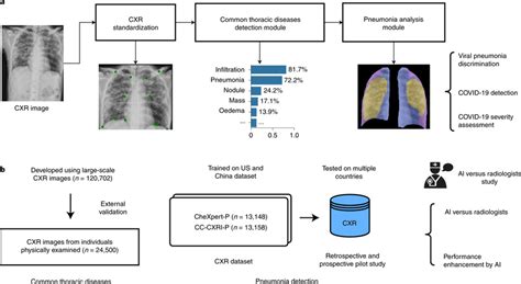 The Ai System For The Detection Of Viral Pneumonia A Model Development Download Scientific