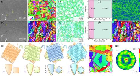 The Microstructures Of A Selective Laser Melting SLM Produced 304L