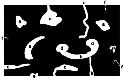 A Schematic Of Various Shapes And Types Of Pores Frequently Identified