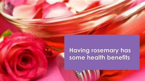 Ppt Benefits Of Rosemary Essential Oil Powerpoint Presentation Free Download Id9262755