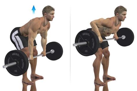 Bent Over Barbell Row Guide • Bodybuilding Wizard