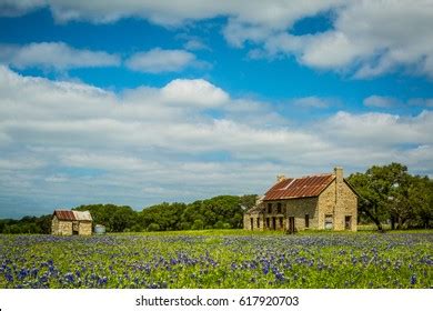 Texas Bluebonnet House Images Stock Photos Vectors Shutterstock